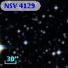 NSV  4129