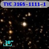 TYC 3168-1111-1