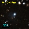 V* DN Per