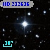 HD 232636