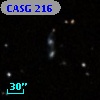 CASG  216