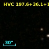 HVC 197.6+36.1+104