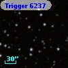 Trigger  6237