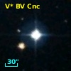 V* BV Cnc