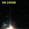 SN 1950D