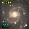 IC  239