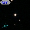 NSV  4204