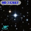 HD 232667
