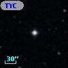 TYC  805-1295-1