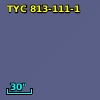 TYC  813-111-1
