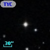 TYC  813-145-1