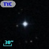TYC  813-174-1