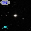 TYC  813-239-1