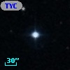 TYC  813-431-1