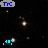 TYC  813-846-1
