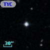 TYC  813-863-1
