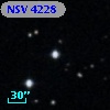 NSV  4228