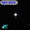NSV  4173