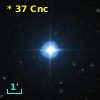 *  37 Cnc
