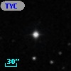TYC  813-66-1