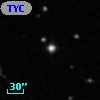 TYC  813-484-1