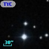TYC  813-646-1