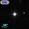 TYC  813-692-1
