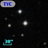 TYC  813-704-1