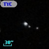 TYC  813-1174-1