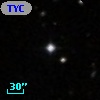 TYC  810-213-1