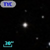 TYC  810-448-1
