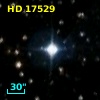 HD  17529