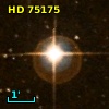 HD  75175