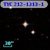TYC  212-1313-1