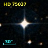HD  75037