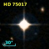 HD  75017