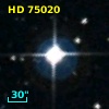 HD  75020