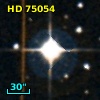 HD  75054