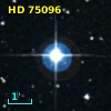 HD  75096