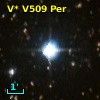 V* V509 Per