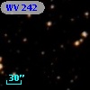 WV 242