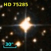 HD  75285