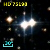 HD  75198
