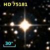 HD  75181