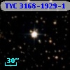 TYC 3168-1929-1