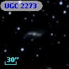 UGC  2273