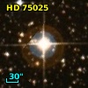 HD  75025