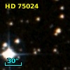 HD  75024
