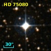 HD  75080