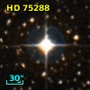 HD  75288